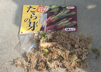 ̉