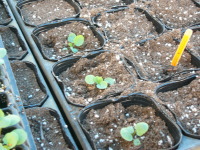 ��A�͈���A�����