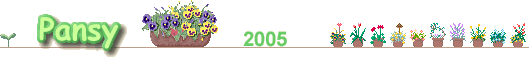 Pansy 2005