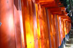 Fushimi_Inari 11