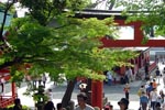 Fushimi_Inari 11