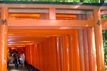 Fushimi_Inari 08