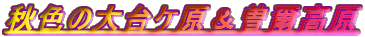 HF̑P]