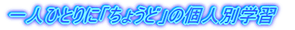 ��l��l�ɂ��傤�ǂɌl�ʊw�K