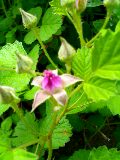 grp0520033526.jpg 120160 8K