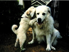 ����������Ƃ��񂽂���