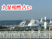 竹の写真