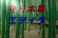 竹の写真
