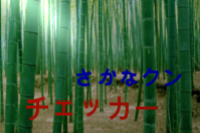 竹の写真
